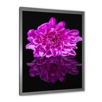 DesignArt 'Едно пурпурна хризантема цвет на црна рефлексија' Традиционално врамен уметнички принт